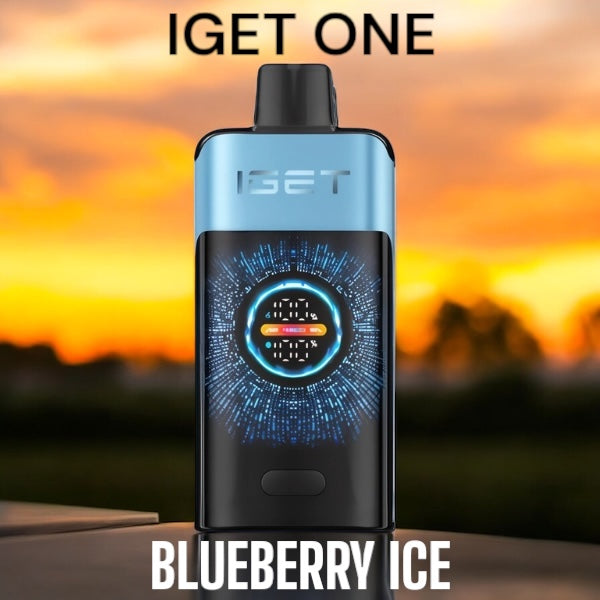 IGET ONE BLUEBERRY ICE 12000 PUFFS