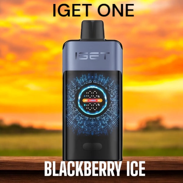 IGET ONE BLACKBERRY ICE 12000 PUFFS