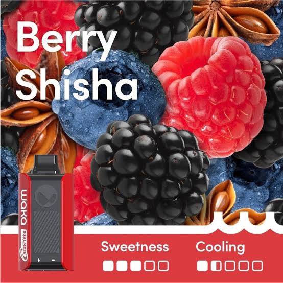 WAKA SOPRO BERRY SHISHA 10K puffs