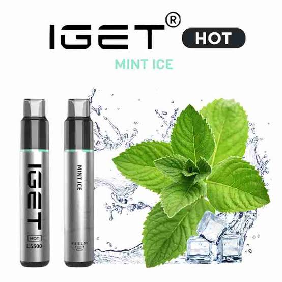 IGET HOT MINT ICE 5500 PUFFS