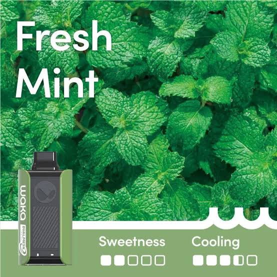 WAKA SOPRO FRESH MINT 10K PUFFS
